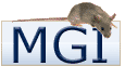 MGI