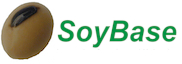 SoyBase